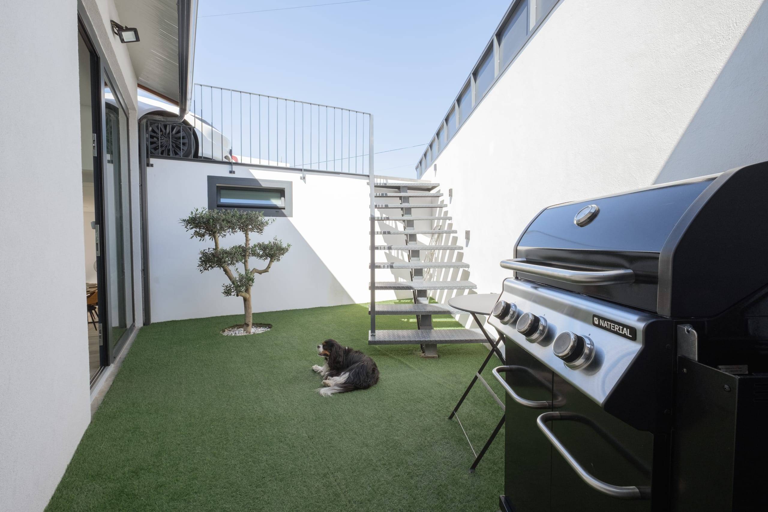 Pátio com churrasqueira a gás e cão a descansar na relva